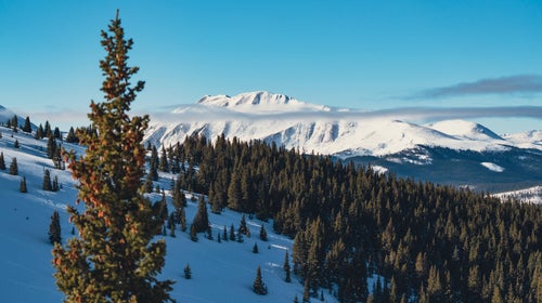 Bergman Bowl Keystone