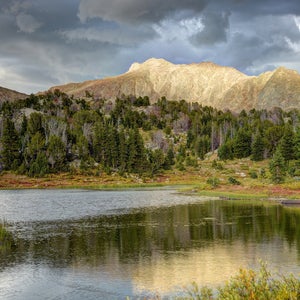 The Bridger-Teton National Forest