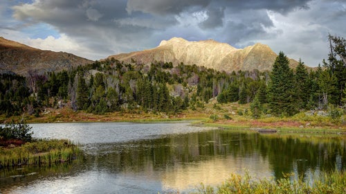 The Bridger-Teton National Forest