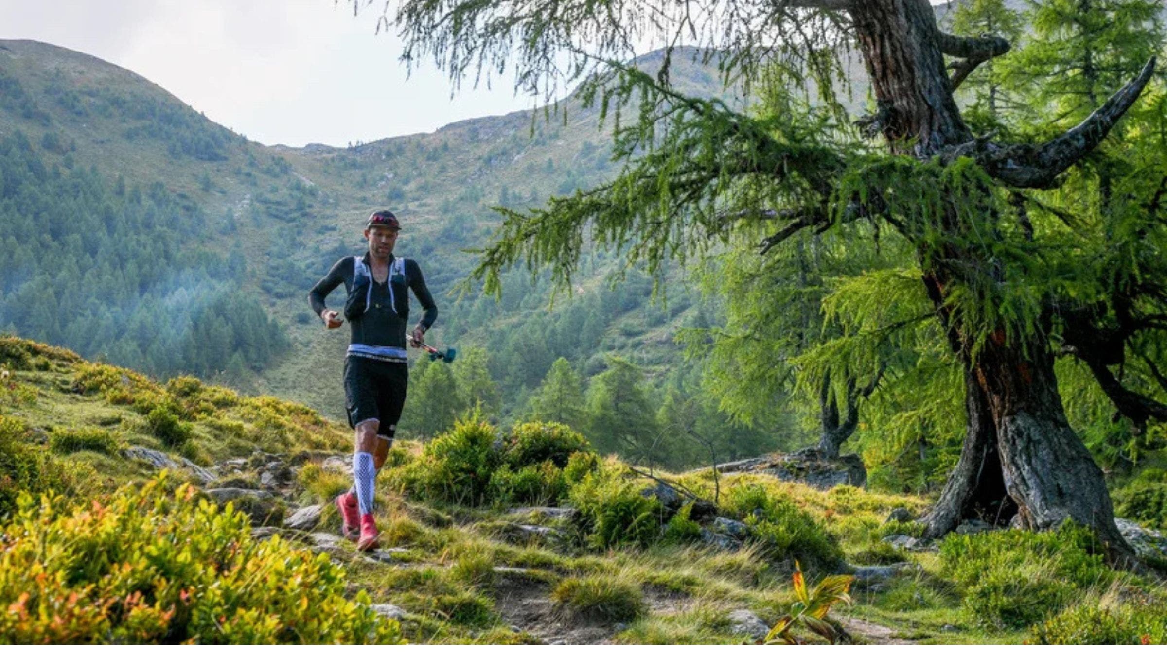 UTMB - Francois D'Haene