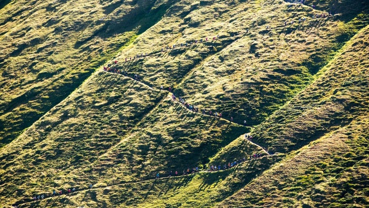 UTMB