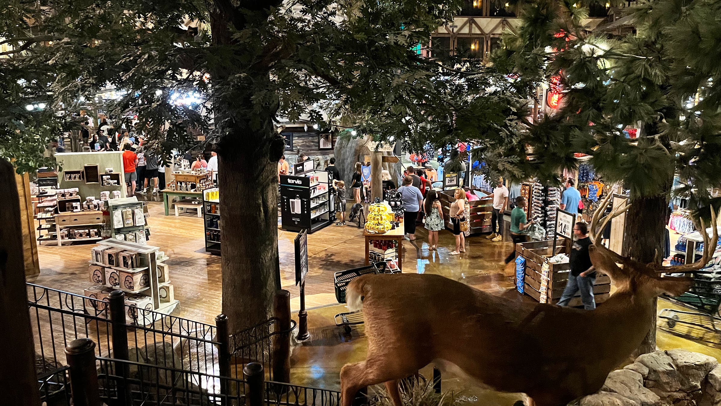 A mounted white-tailed deer, gazing at the merch