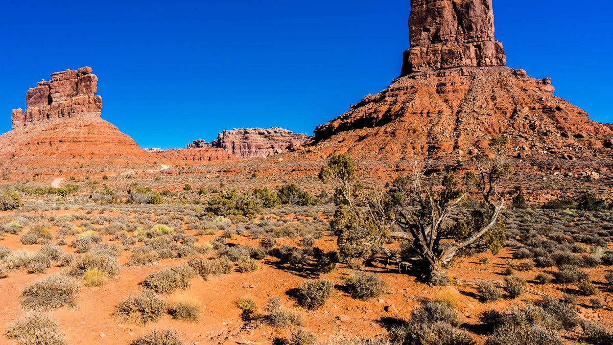 Biden Restored National Monuments Reduced by Trump. Now Utah Is Suing to Shrink Them Again.