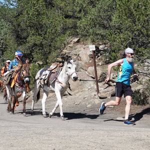 Bob Sweeney and Yukon - Burro Racers