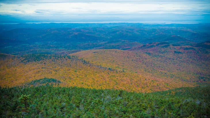 Multi colored trees seen over the Camel's Hump Mountain