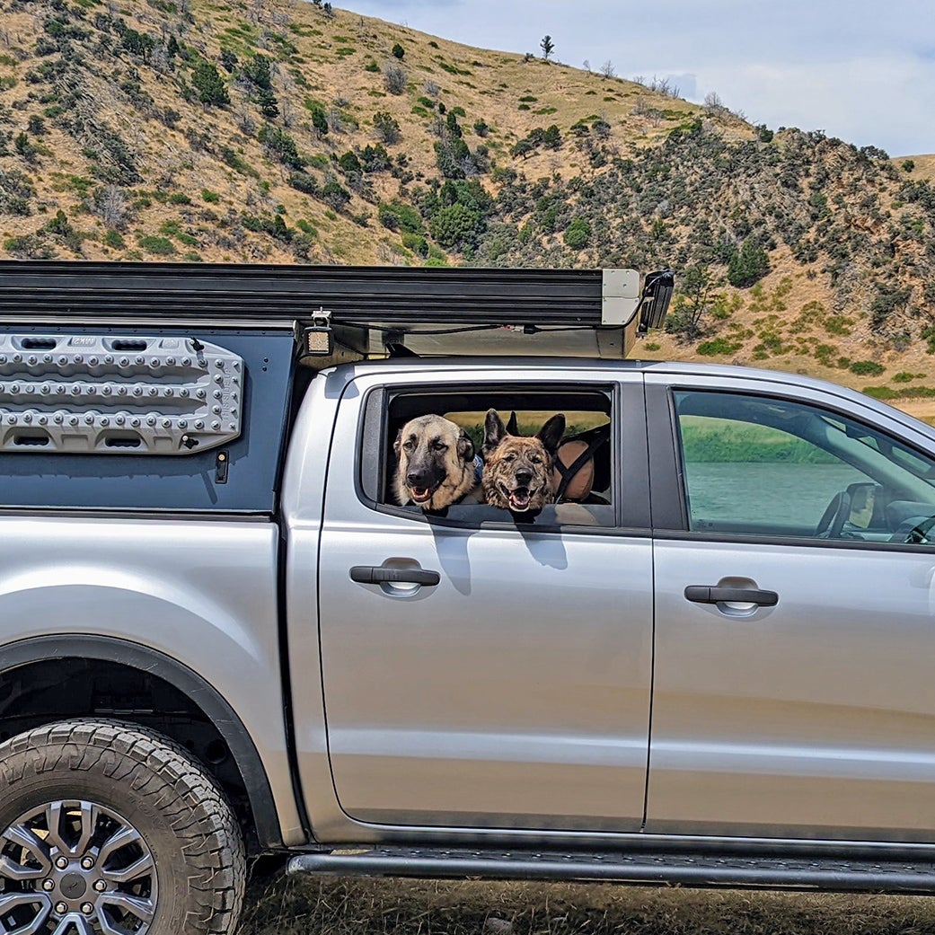 Is It Safe for Dogs to Ride in the Back of an SUV? Unleashed Truths