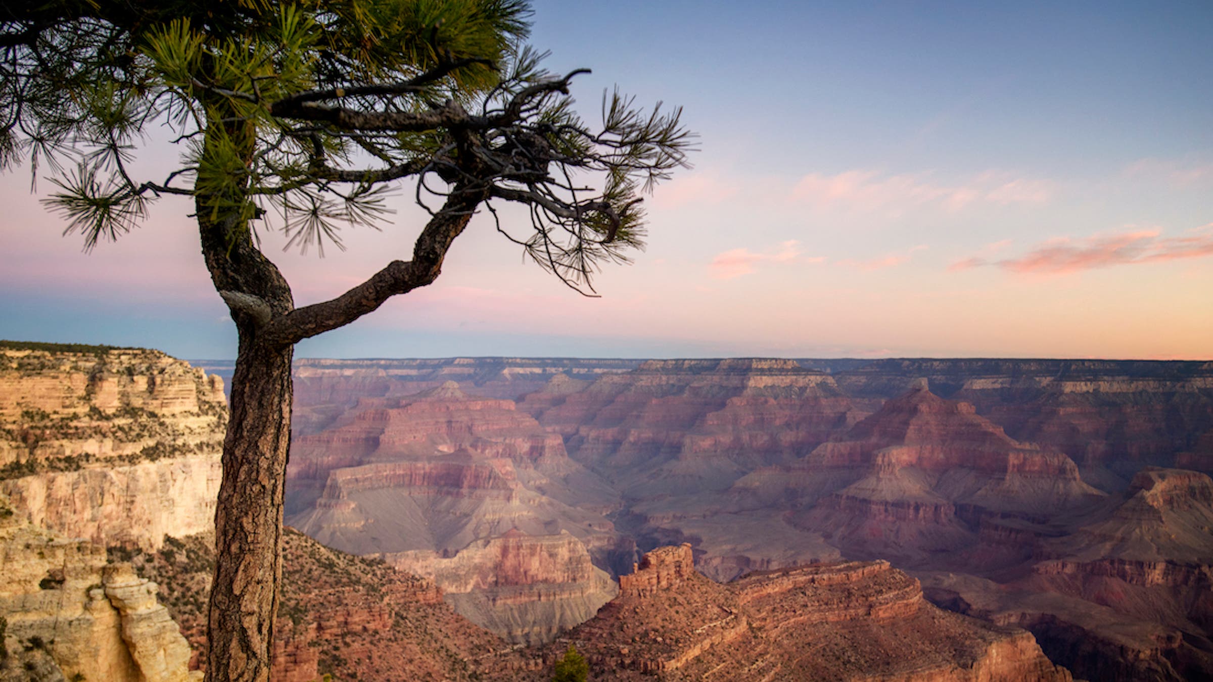 south rim of the grand canyon