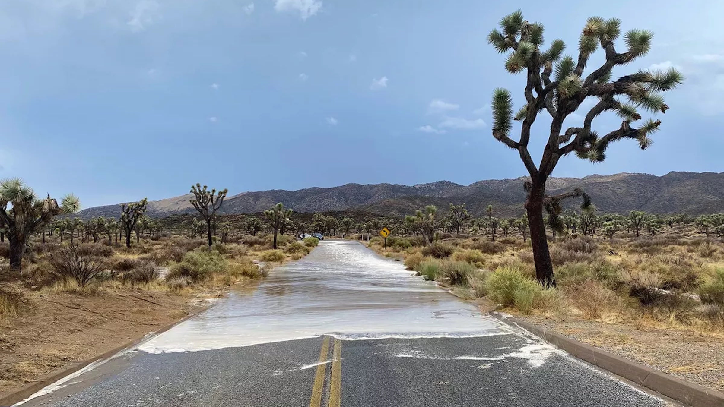 Flood on Keys View Road in Joshua Tree