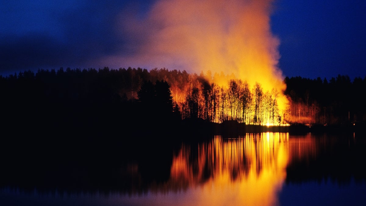 A Frantic Escape from a Wildfire