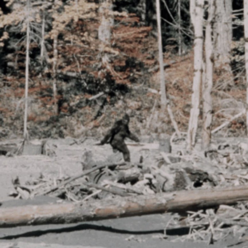 5 Times Bigfoot Was Seen Recently In Washington State