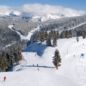 Skiers at Vail