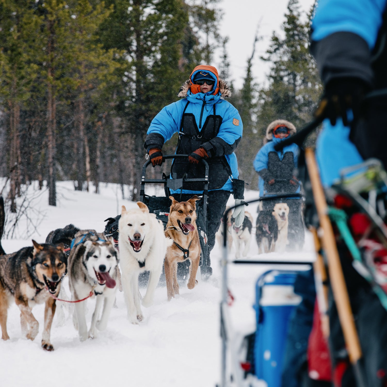 Does Husky Make the Best Tool Bags? We See Them EVERYWHERE