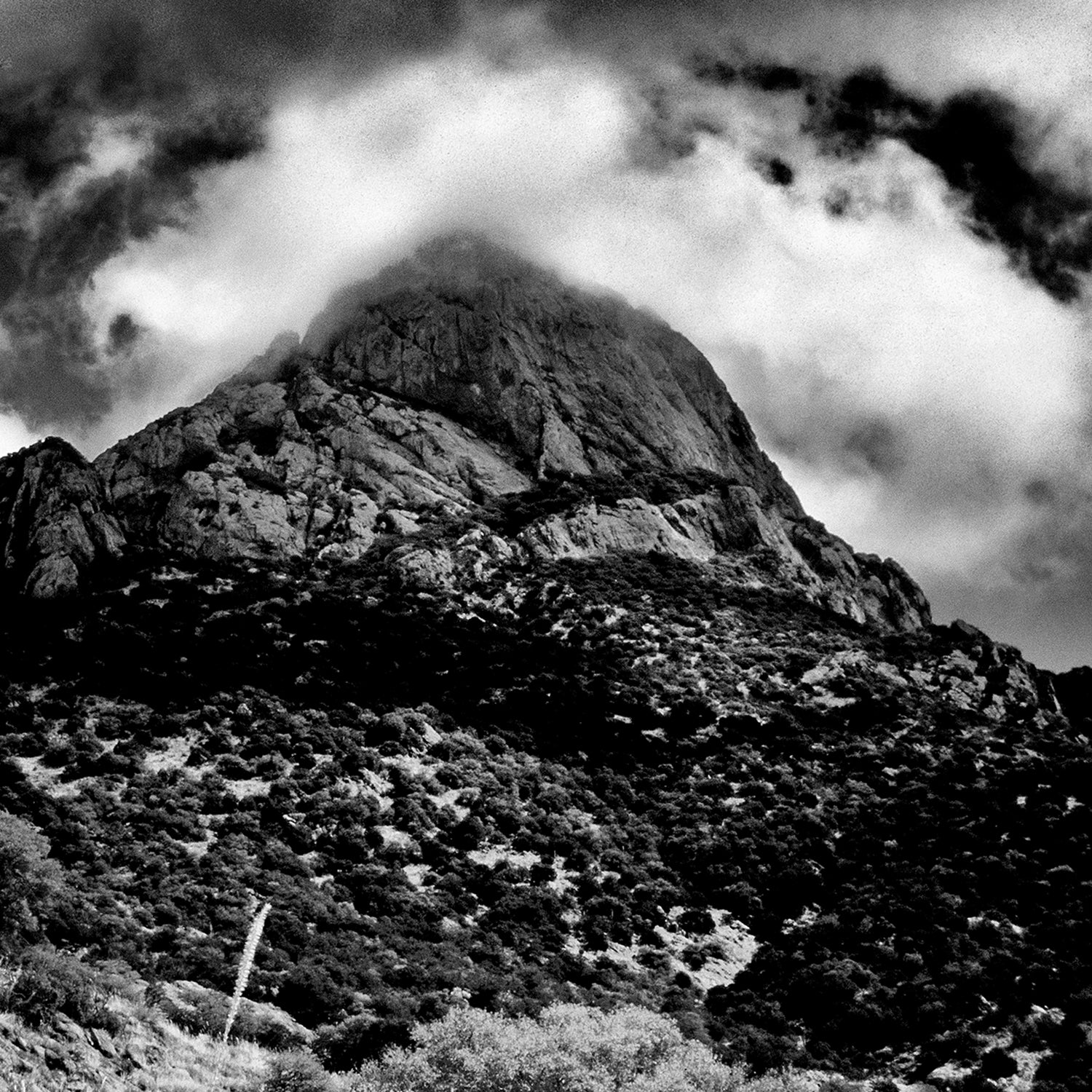 Baboquivari Peak Wilderness