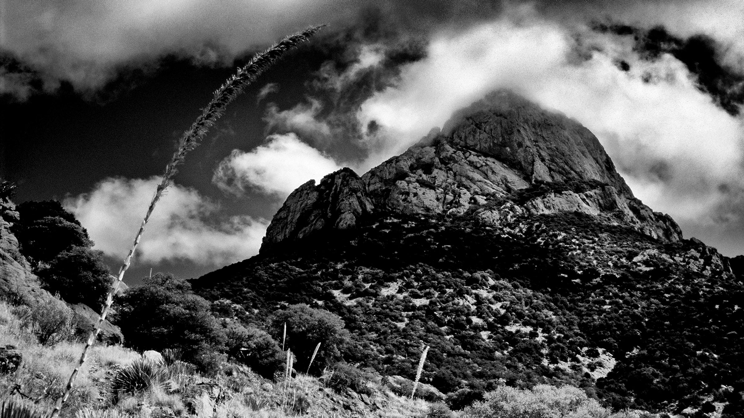 Baboquivari Peak Wilderness