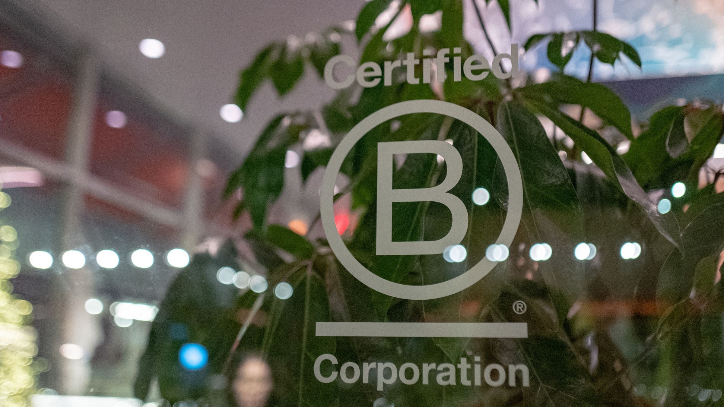 B Corp logo on glass window