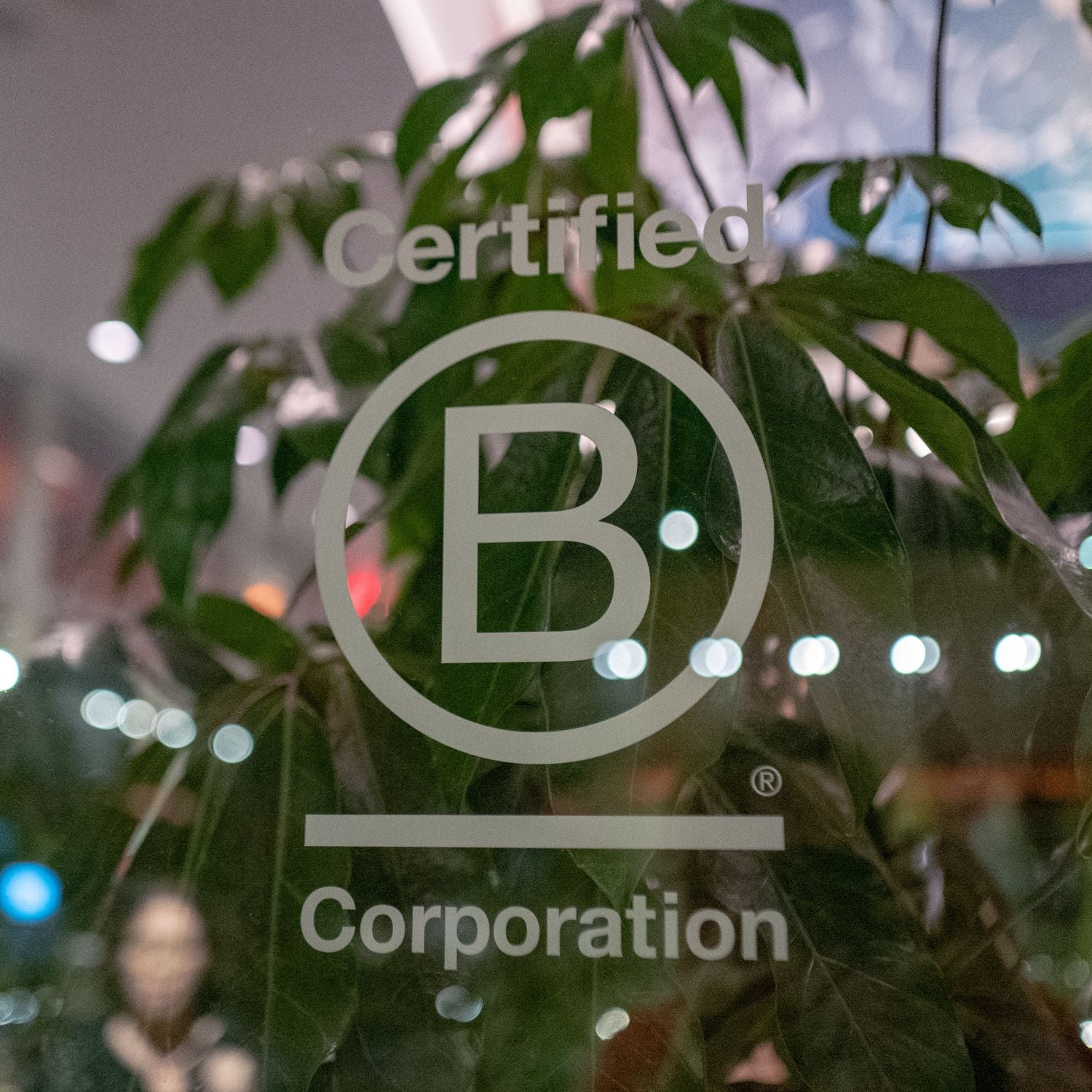 B Corp logo on glass window