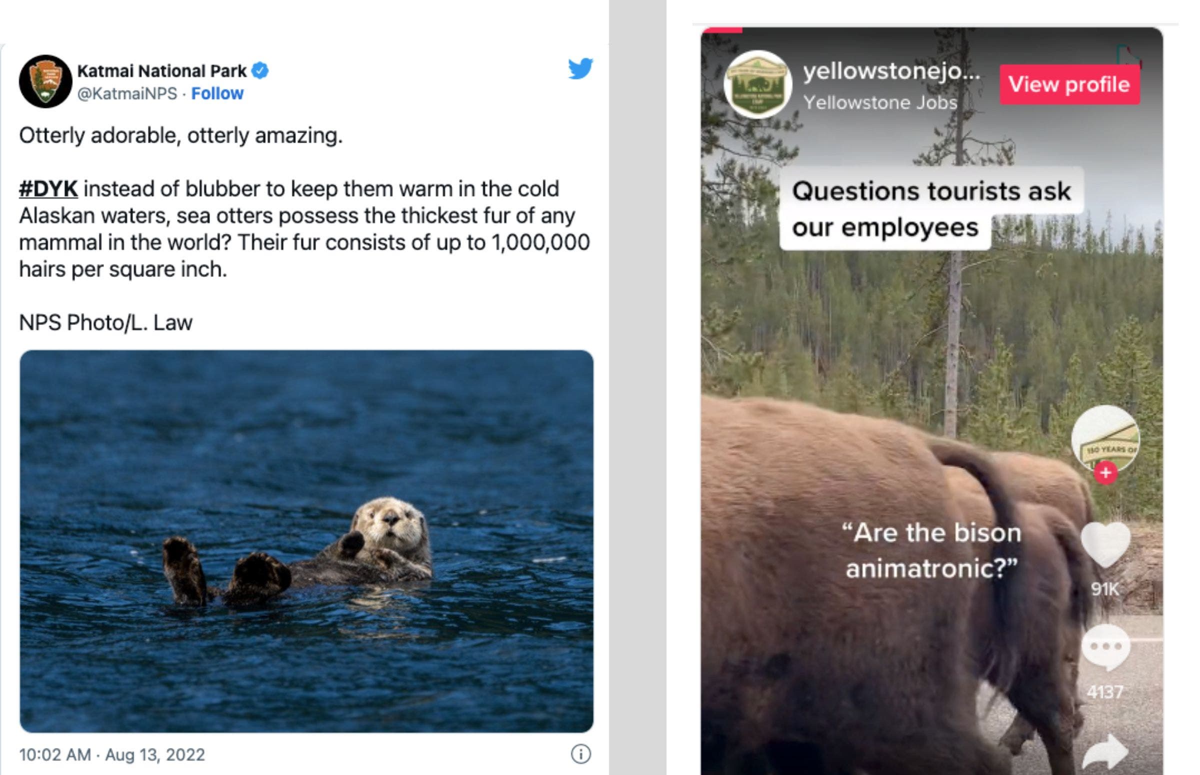 The Best National Park Social Media Accounts