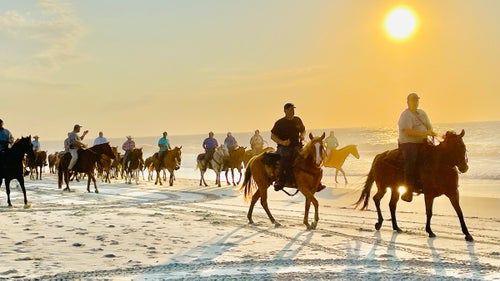 The saltwater cowboys herding ponies on Assateague