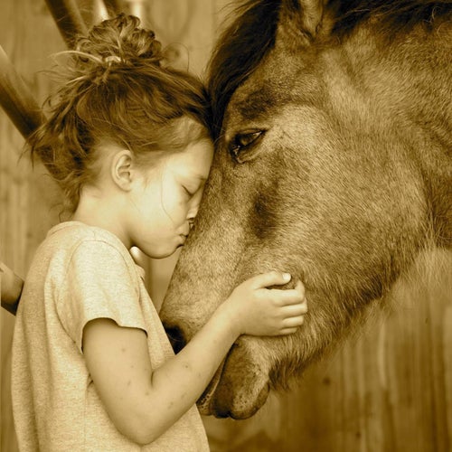 Maizie and Legend in 2016