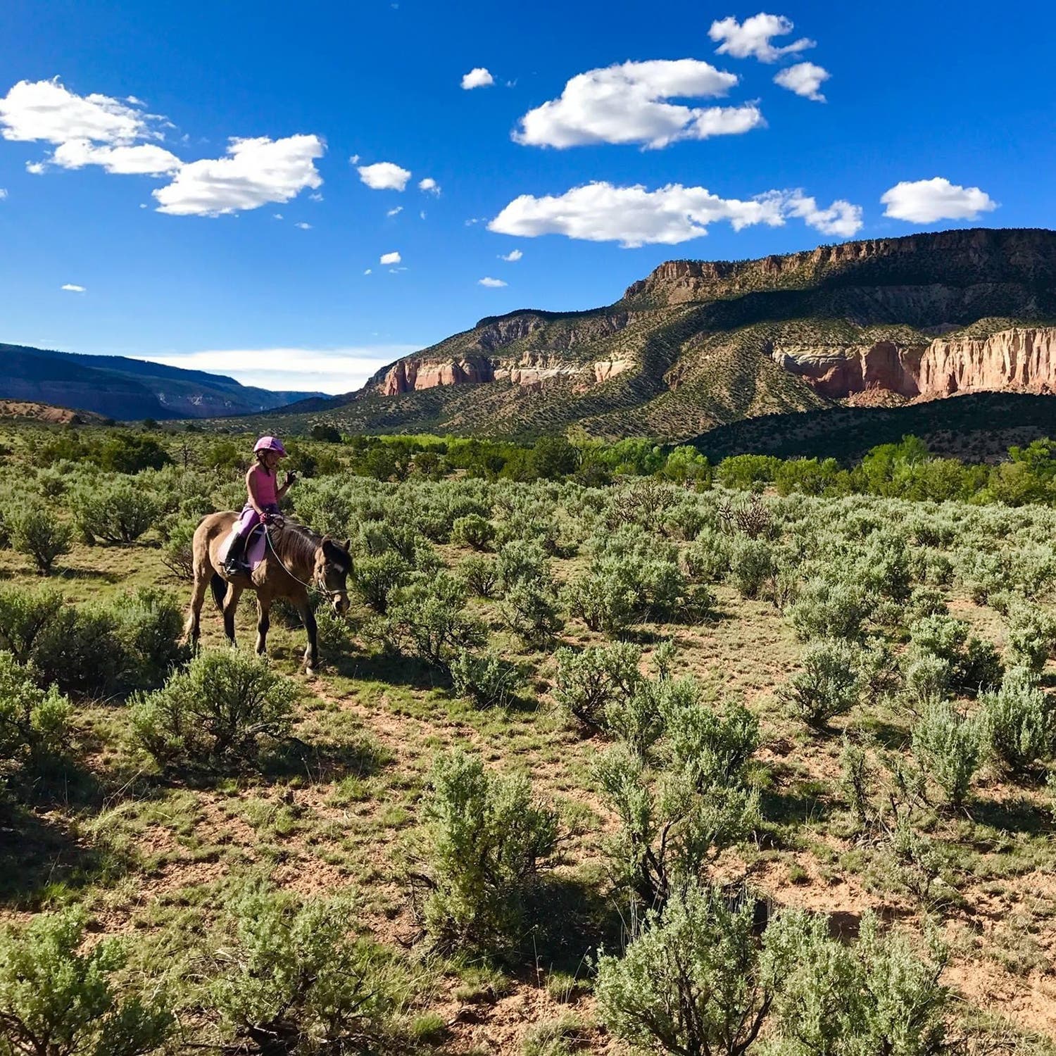 Maizie and Legend in the Chama River Canyon Wilderness