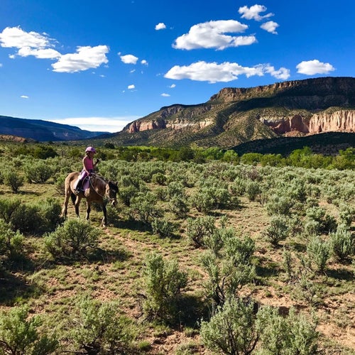 Maizie and Legend in the Chama River Canyon Wilderness