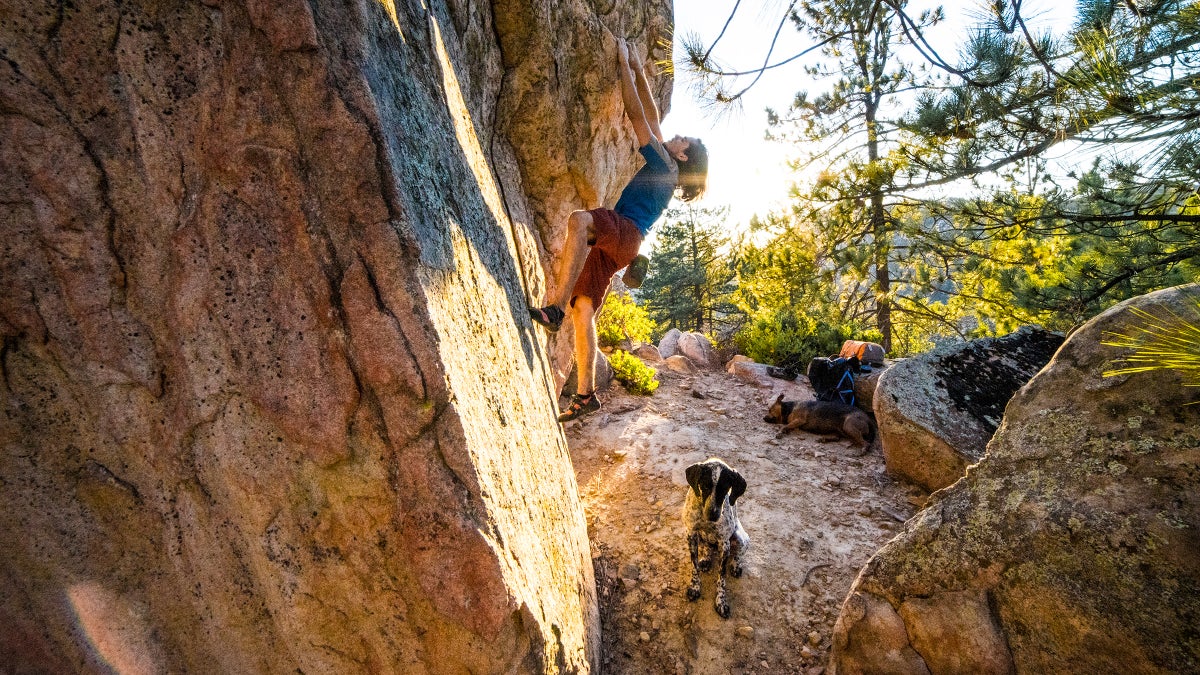 Treat Your Crag Dog to These Five Essentials