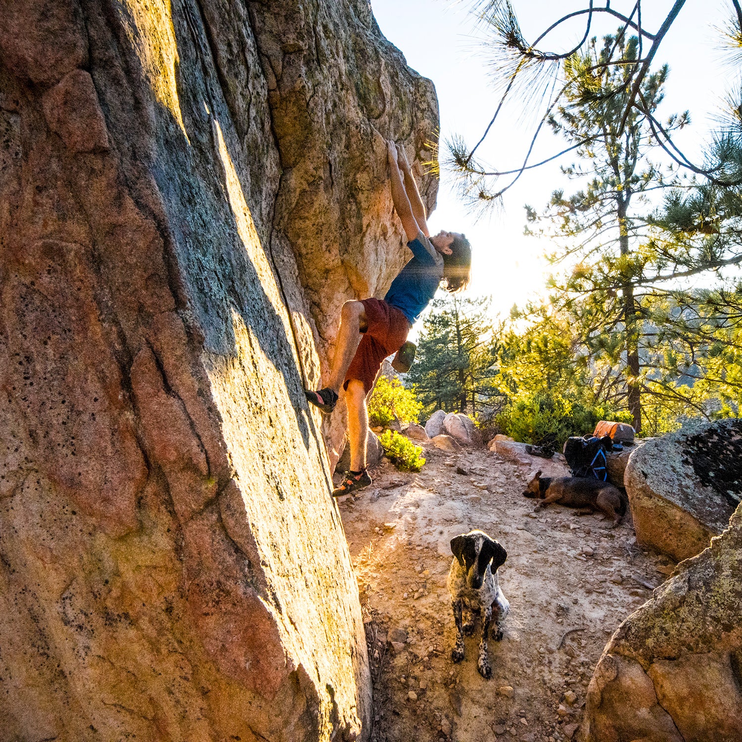 Climber boulders with a dog watching from below