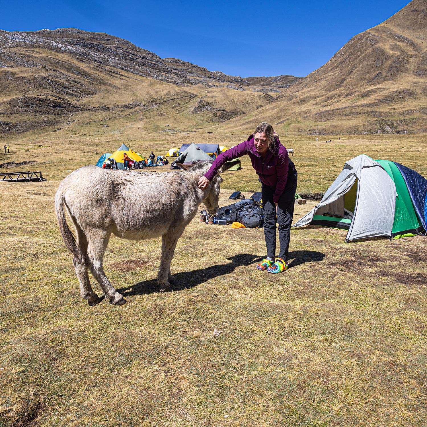 Darcie Reed, a lifetime horse lover, in her element