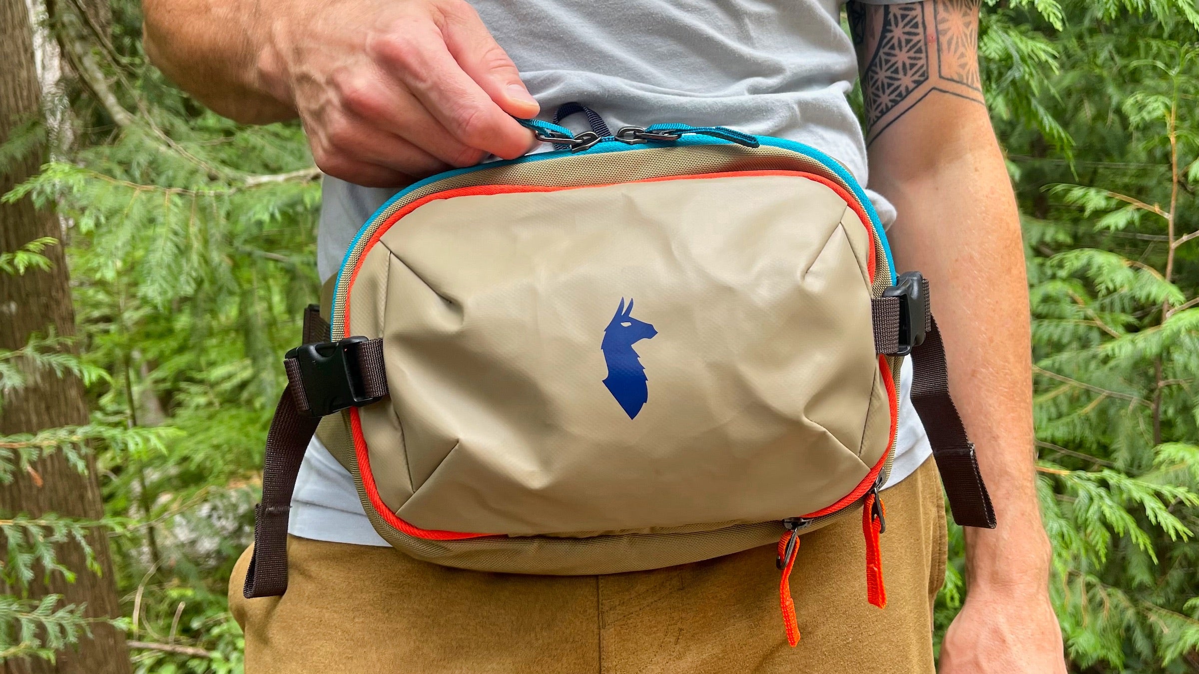 Hip packs for online hiking