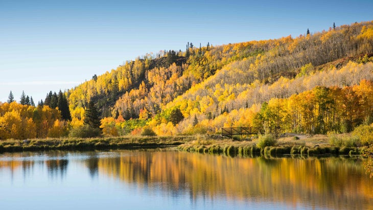 lake foliage