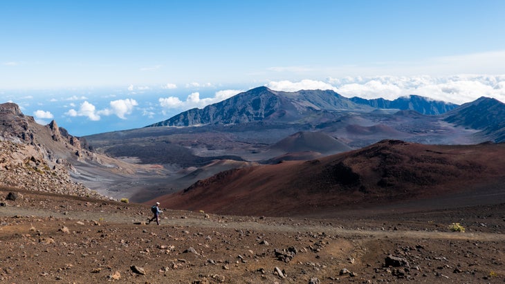 Mighty Mules of Maui - Haleakalā National Park (U.S. National Park