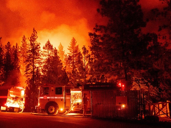 Firefighters monitor a backfire during the Mosquito fire in Foresthill, an unincorporated area of Placer County, California on September 13, 2022.
