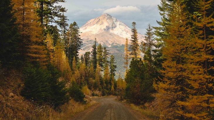 mountain road foliage