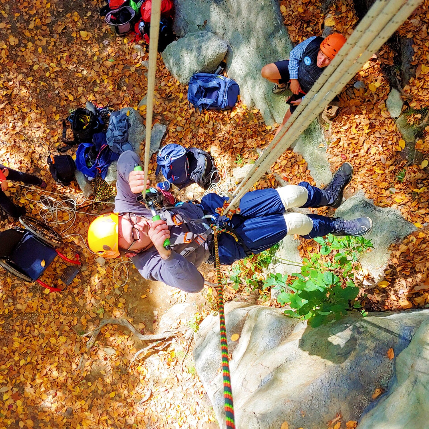 A man ascending a set of fixed ropes without the use of his legs. The photo is top down. The man is wearing a yellow helmet. The ground is coated with autumn-colored leaves, yellow, orange, and amber.