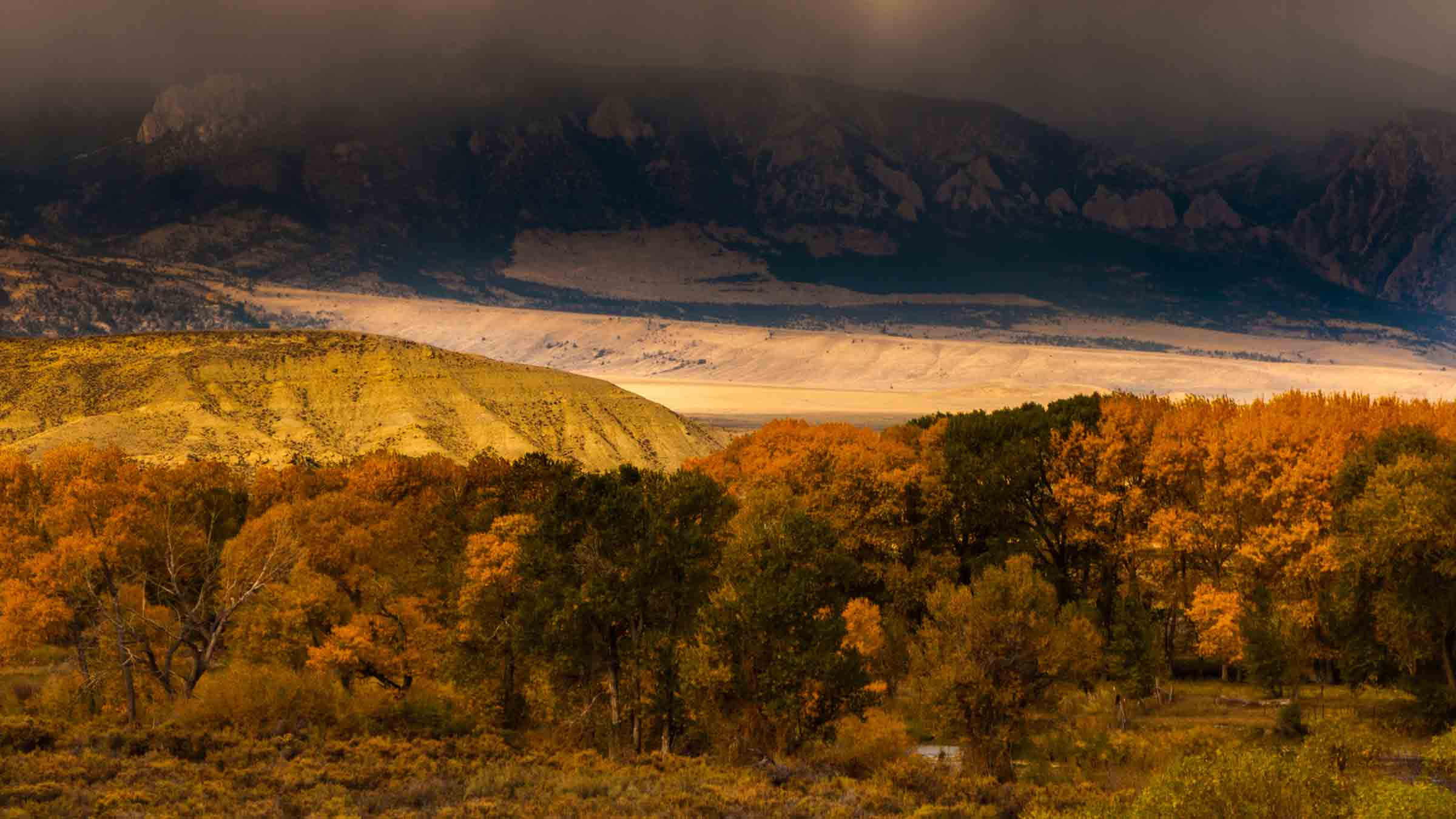 autumn colors national forest