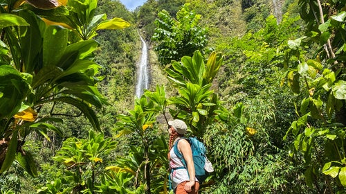 The 400-foot Waimoku Falls, at the end of the Pipiwai Trail, is one of Maui’s tallest.