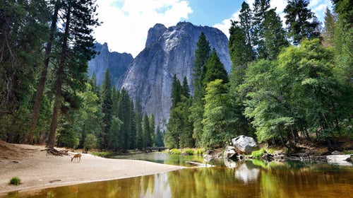 Rocky Mountain National Park Mobile Phone Wallpaper — The Greatest American  Road Trip