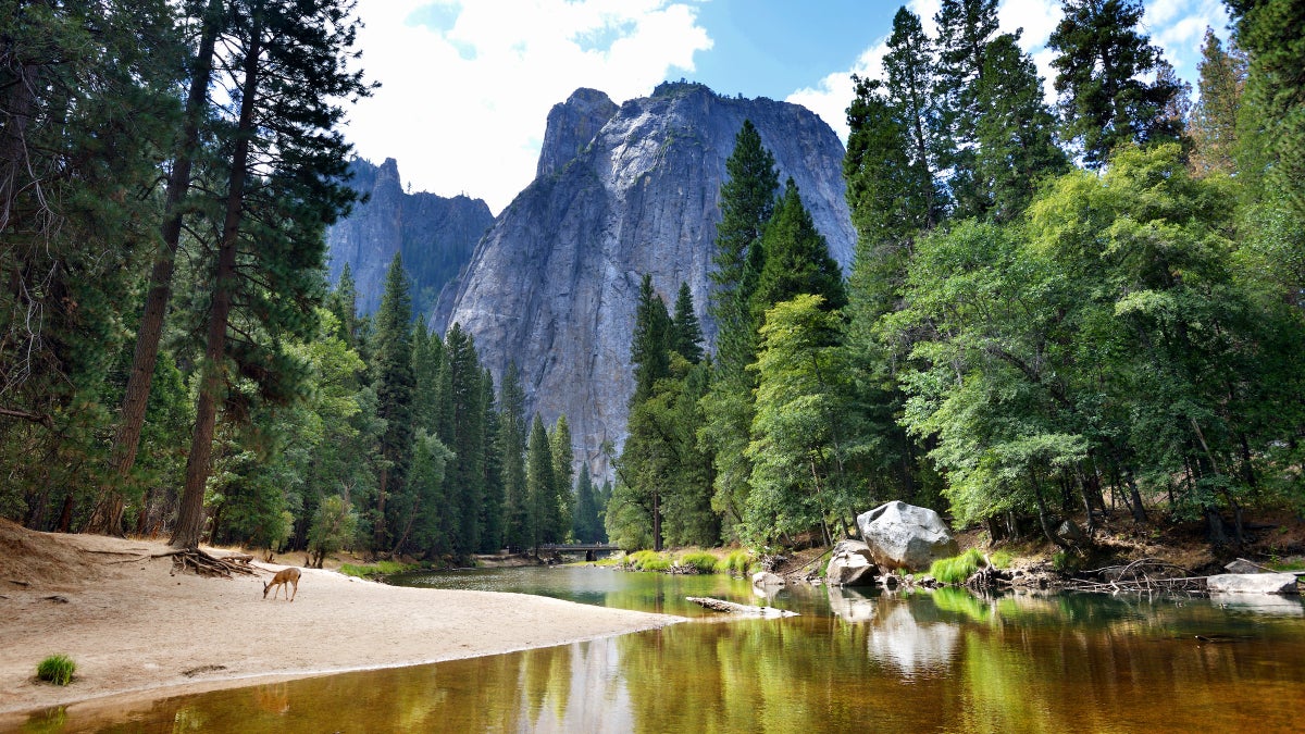 The Best National Parks to See Without a Car