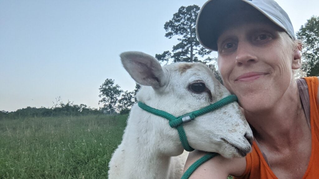 What I Learned About Survival and Motherhood from Two Lambs