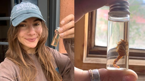 Abigail holds the scorpion that stung her in a vial. The scorpion is less than an inch long.