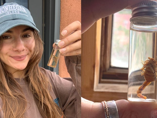 Abigail holds the scorpion that stung her in a vial. The scorpion is less than an inch long.