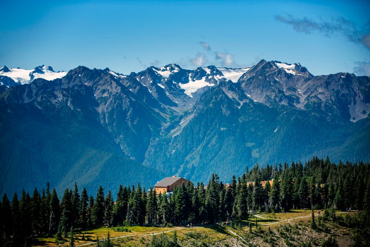  Olympic National Park Washington Premium T-Shirt : Sports &  Outdoors