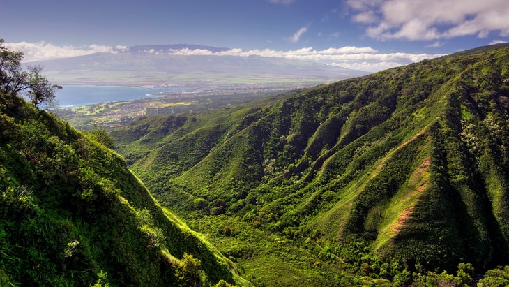 Mountain valley on Maui