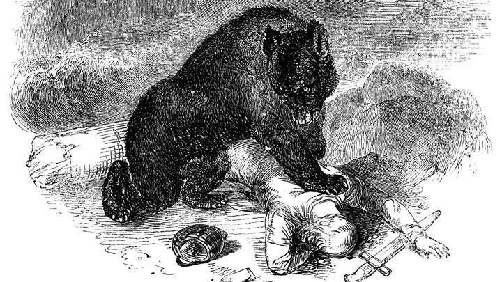 Bear Slashing He Fought a Bear with a Pocketknife - Outside Online