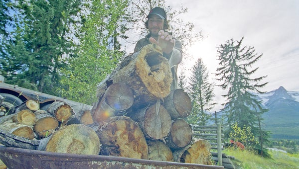 Young man stacks firewood into a wheelbarrow.