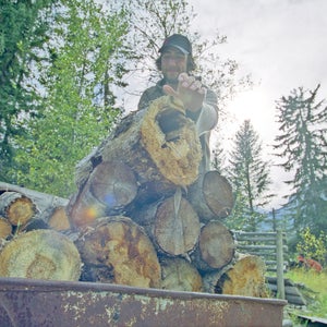 Young man stacks firewood into a wheelbarrow.