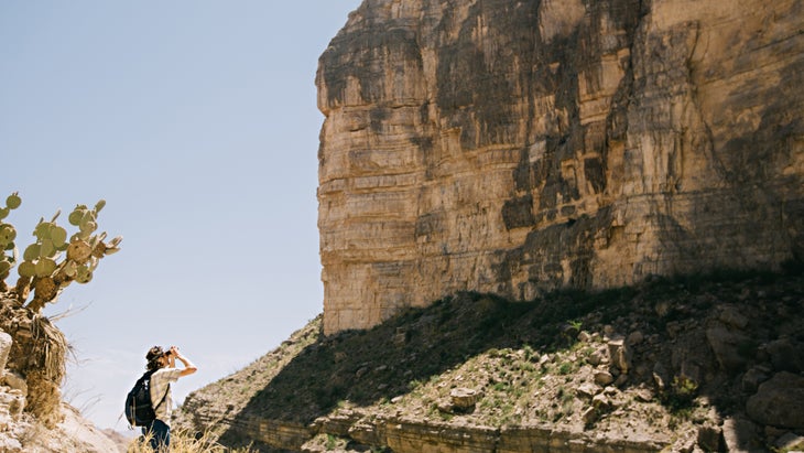 Big Bend birding
