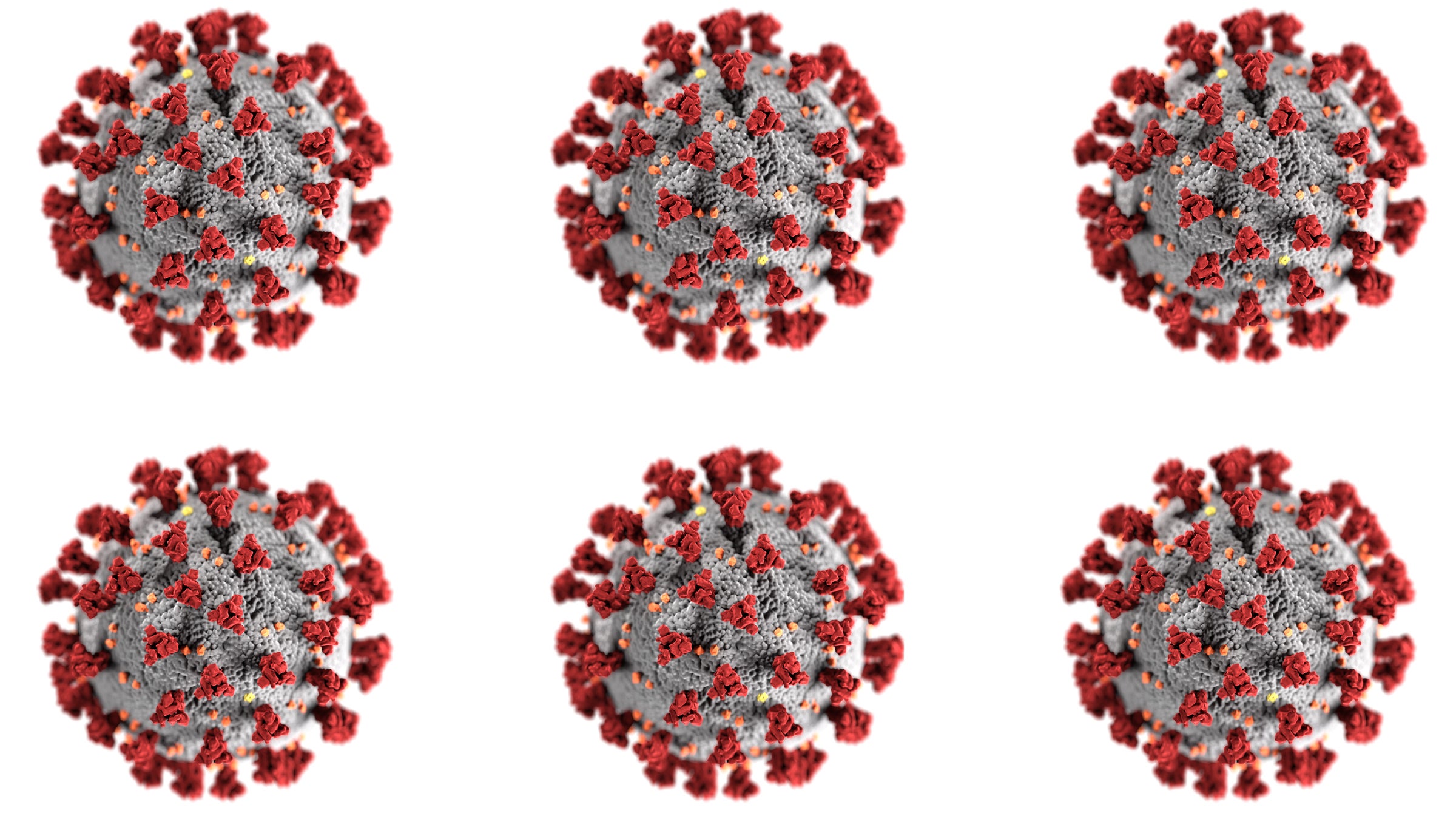 Coronavirus particle
