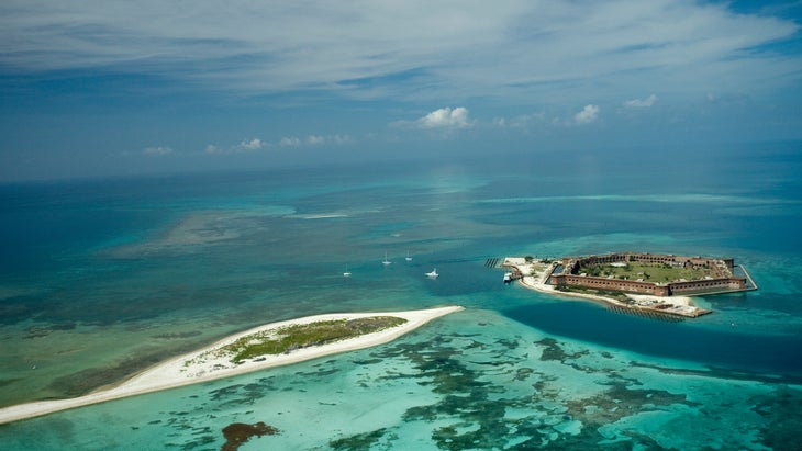 Dry Tortugas diving