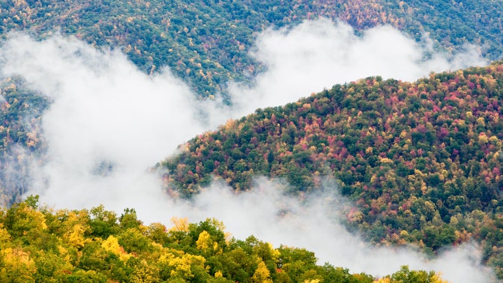 great smoky mountains